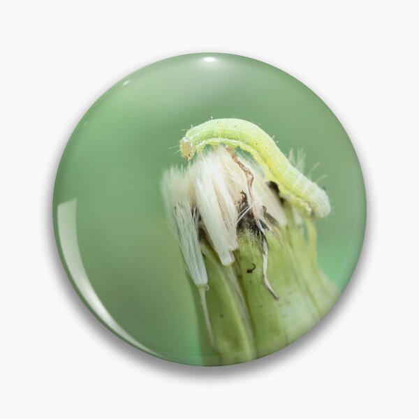 Item preview, Inchworm on dandelion seed head designed and sold by KRFNatureGifts.