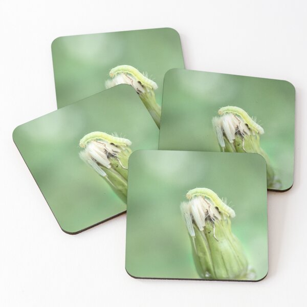 Item preview, Inchworm on dandelion seed head designed and sold by KRFNatureGifts.