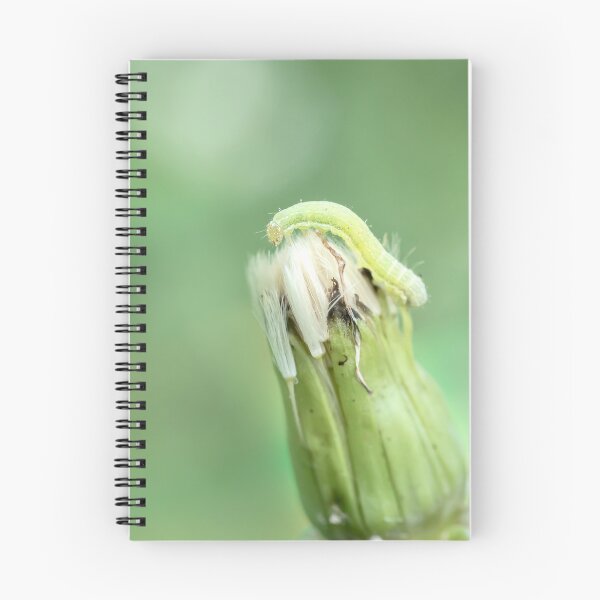 Item preview, Inchworm on dandelion seed head designed and sold by KRFNatureGifts.