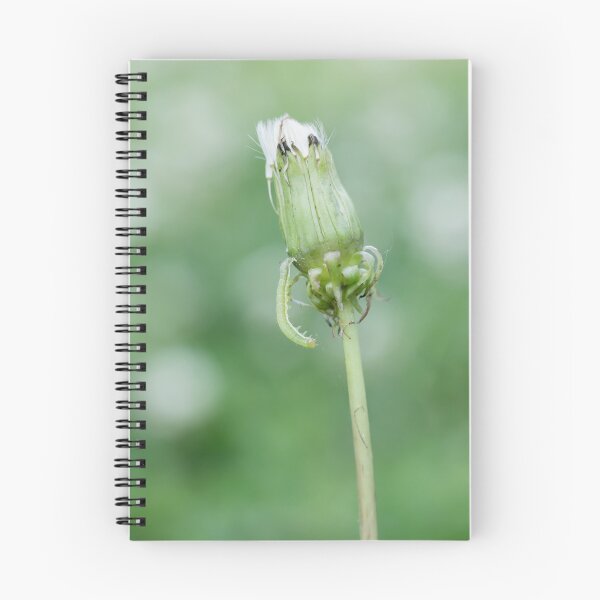 Item preview, Inchworm climbing down dandelion designed and sold by KRFNatureGifts.
