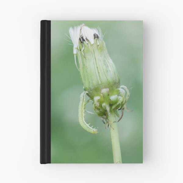 Item preview, Inchworm climbing down dandelion designed and sold by KRFNatureGifts.