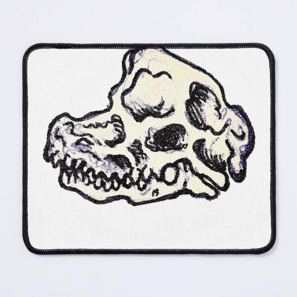 Item preview, Diplodocus Dinosaur Skull Bone designed and sold by Inkhov Art.