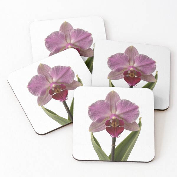 Item preview, Enchanted Orchid Elegance designed and sold by Arcadia World.