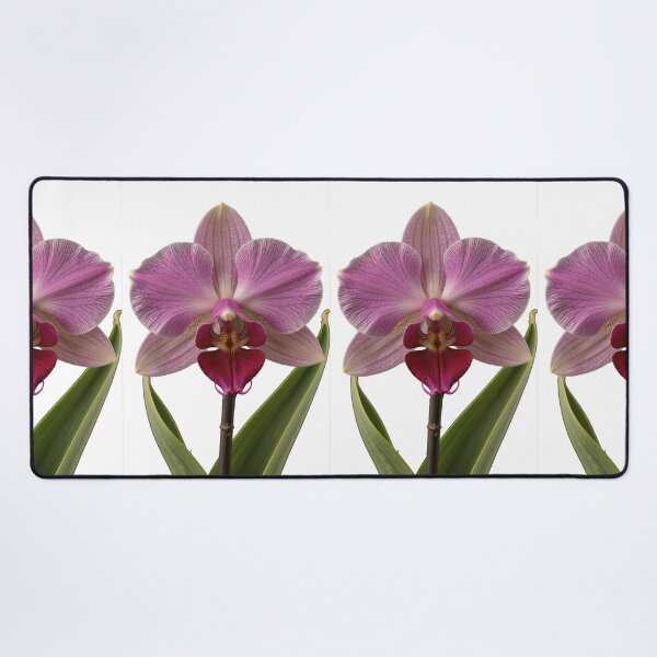 Item preview, Enchanted Orchid Elegance designed and sold by Arcadia World.