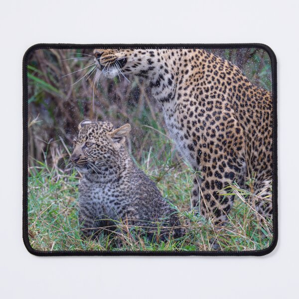 Item preview, Mother and Cub Leopard 3 Masai Mara Kenya designed and sold by PhotoArt by Joan Carroll.
