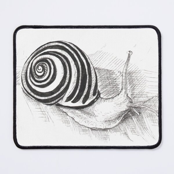 Item preview, Crawling Snail designed and sold by enricazampedri.