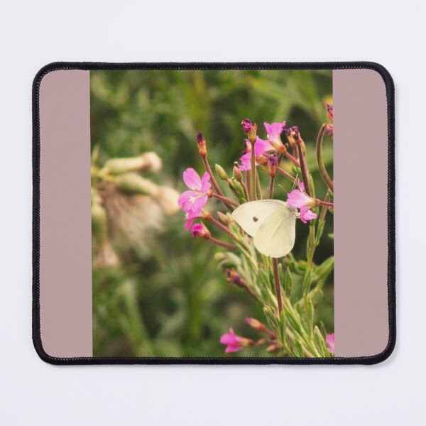 Item preview, white butterfly on a purple flower designed and sold by Jampsphotos.