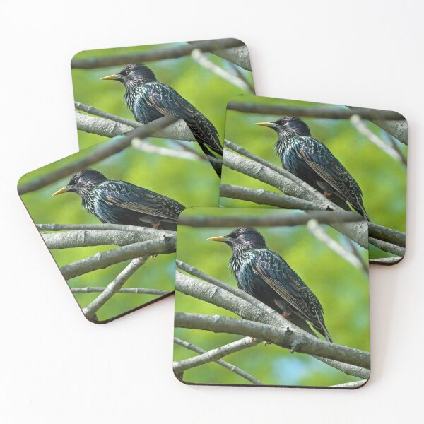 Item preview, Bird Stalking #3 designed and sold by MoonGPhotos.