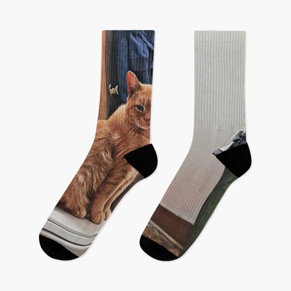 Item preview, Cat on the toilet designed and sold by J+J Photography.