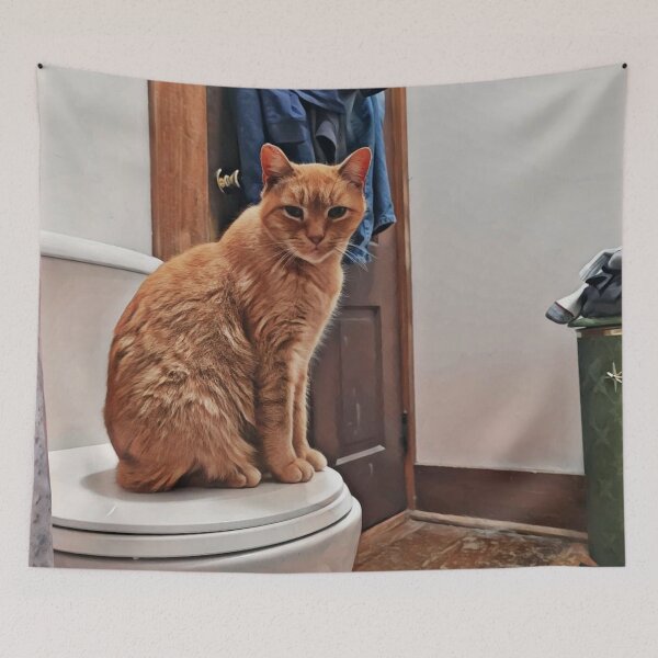 Item preview, Cat on the toilet designed and sold by J+J Photography.