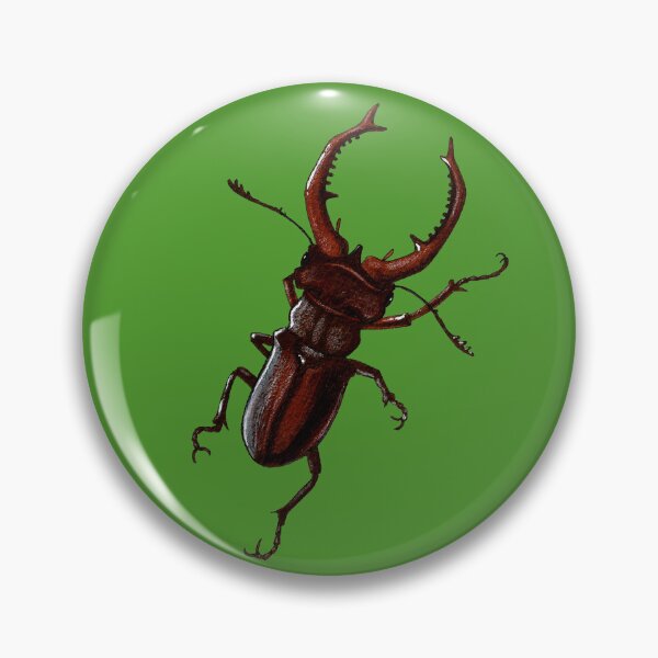Item preview, Stag Beetle designed and sold by Sciart by Savannah.