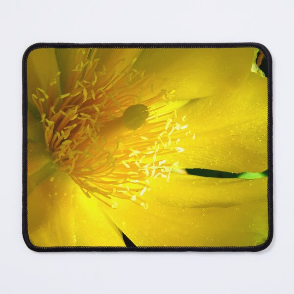 Item preview, Sunny photo of blooming yellow cactus in the summer designed and sold by Dilyana Rumenova - Shantabella.