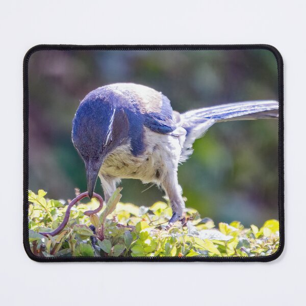 Item preview, Early Bird Gets the Worm designed and sold by CarolM.