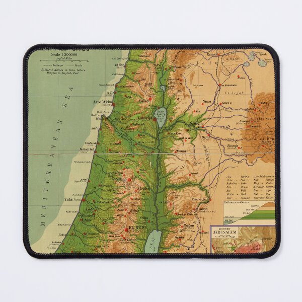 Item preview, Historic Palestine Map designed and sold by Venceremos1959.
