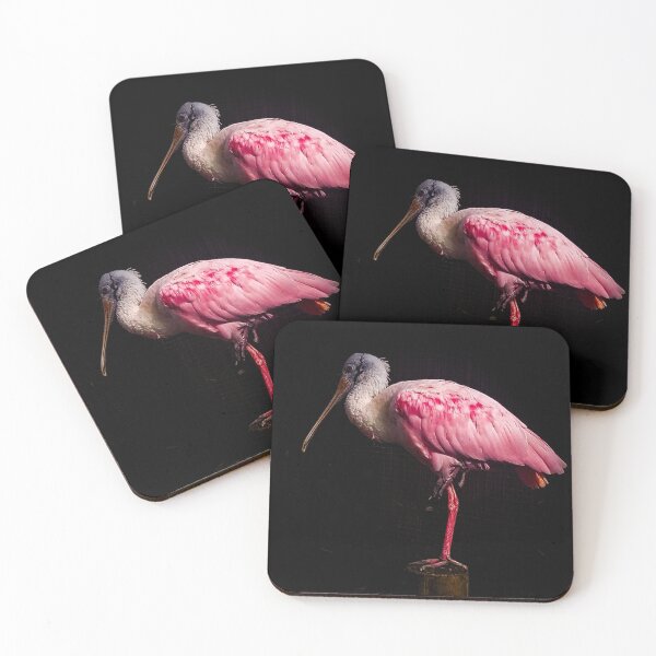 Item preview, Spoonbill designed and sold by Bianca Castillo-Neill .
