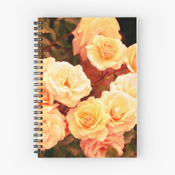 Item preview, Everything coming up Roses. [number two of four] designed and sold by prestongeorge.