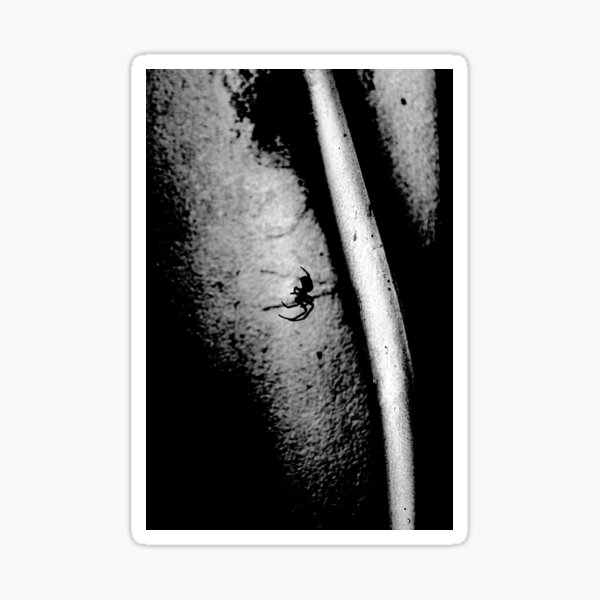 Dangle (GITM_Album Art) Sticker