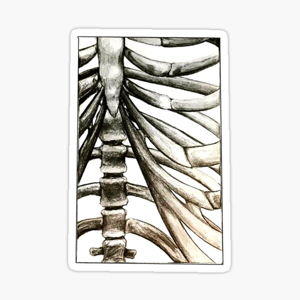 Ribs Sticker Sticker