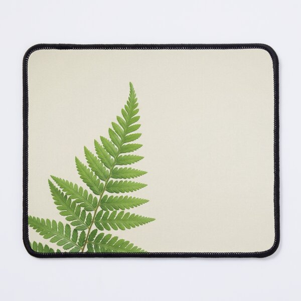 Item preview, Fern on a plain background designed and sold by GingaDesigns.