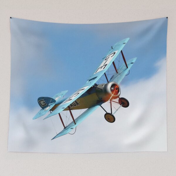 Item preview, Sopwith Dove G-EAGA designed and sold by MartinPhotos.