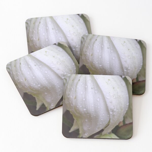 Item preview, Yucca Flower designed and sold by LaurenMachuga.