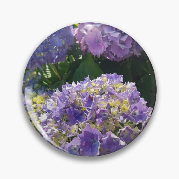 Item preview, Blue hydrangeas in the sun photograph  designed and sold by esvb.