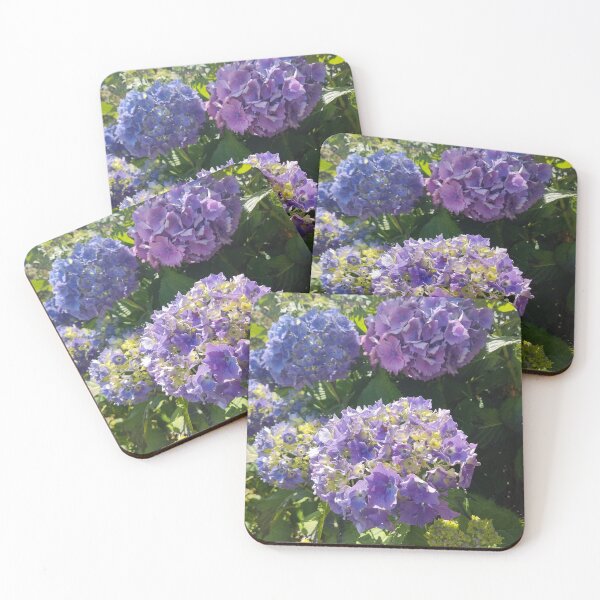 Item preview, Blue hydrangeas in the sun photograph  designed and sold by esvb.