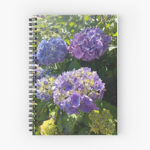 Item preview, Blue hydrangeas in the sun photograph  designed and sold by esvb.