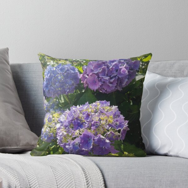 Item preview, Blue hydrangeas in the sun photograph  designed and sold by esvb.