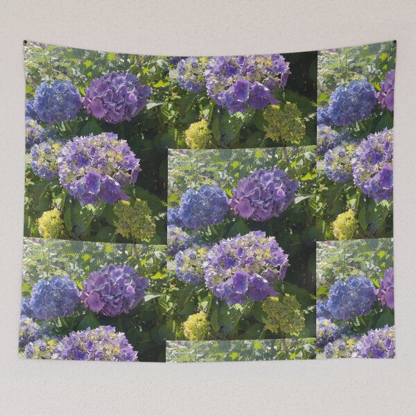 Item preview, Blue hydrangeas in the sun photograph  designed and sold by esvb.