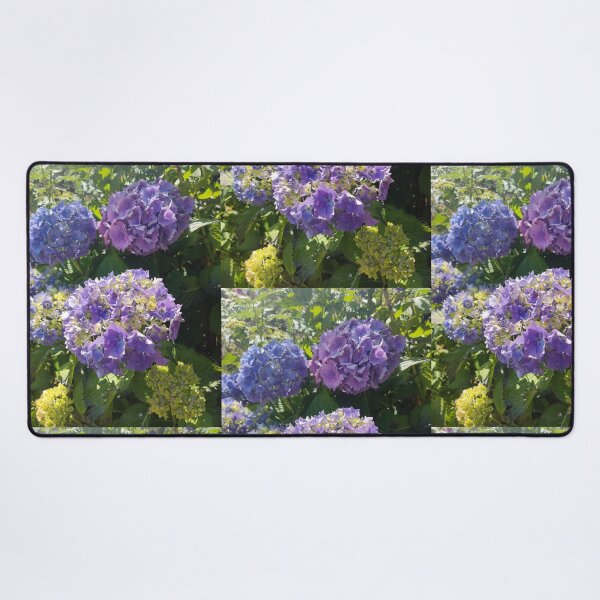 Item preview, Blue hydrangeas in the sun photograph  designed and sold by esvb.