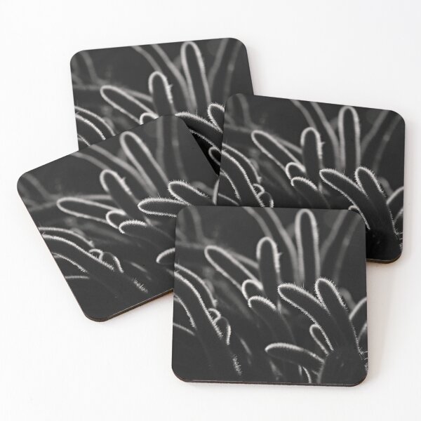 Item preview, Dramatic cactus in black and white designed and sold by ChrisArnold.