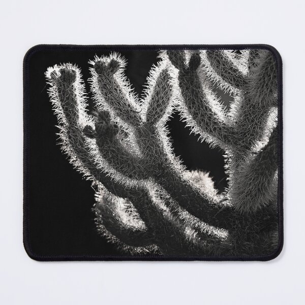 Item preview, Cholla in morning light designed and sold by ChrisArnold.