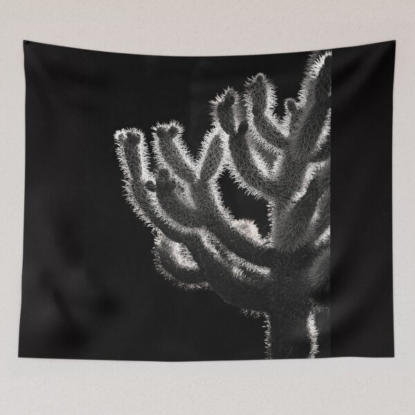 Item preview, Cholla in morning light designed and sold by ChrisArnold.