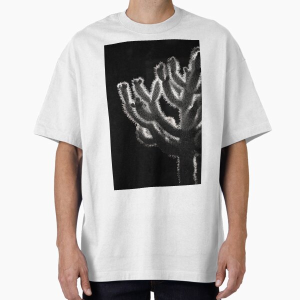 Item preview, Cholla in morning light designed and sold by ChrisArnold.