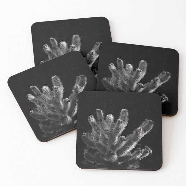 Item preview, Black and white cactus photograph designed and sold by ChrisArnold.