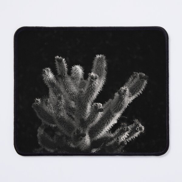 Item preview, Black and white cactus photograph designed and sold by ChrisArnold.