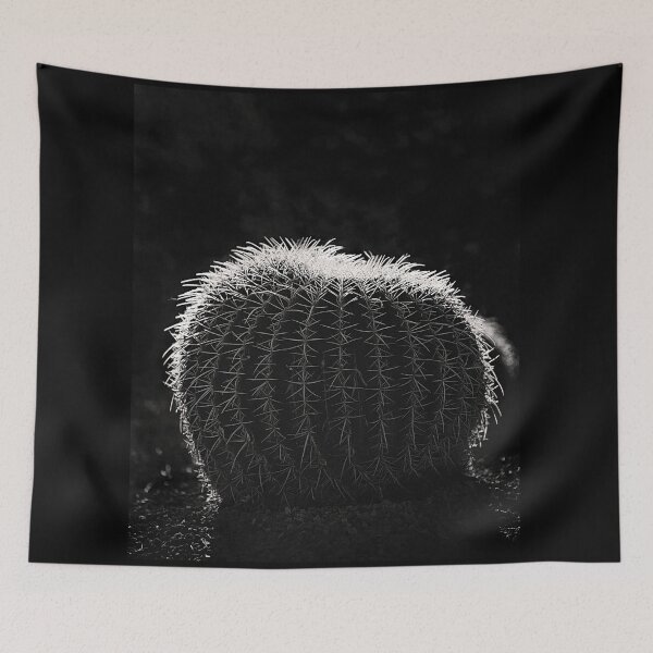 Item preview, Barrel Cactus in black and white designed and sold by ChrisArnold.
