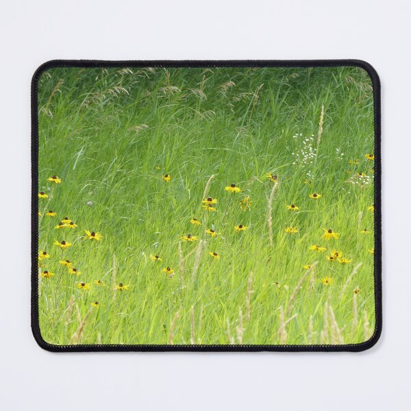 Item preview, Summer Susans designed and sold by plains flora.