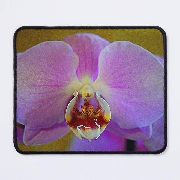 Item preview, Dendrobium designed and sold by Larry Davis.