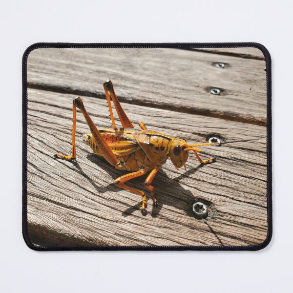 Item preview, Eastern Lubber Grasshopper, Romalea microptera designed and sold by ArteAnnie.
