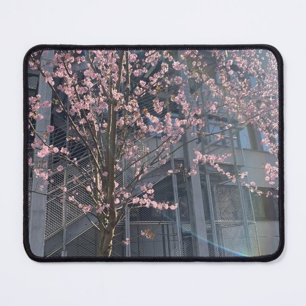 Item preview, Cherry blossom magic designed and sold by BariMou.