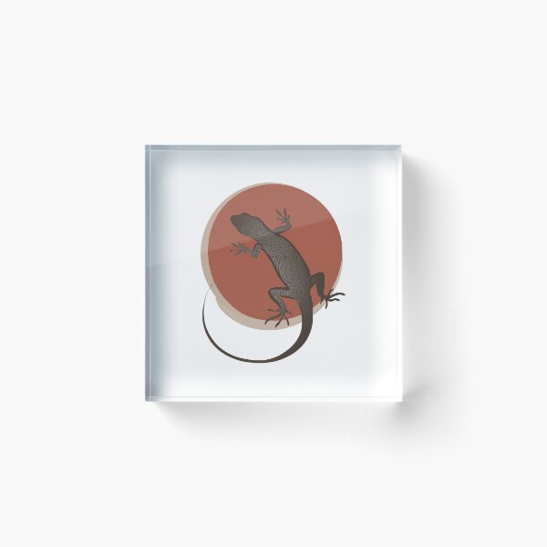 Item preview, Skinks Limb Coordination Agility designed and sold by FWLKIT.