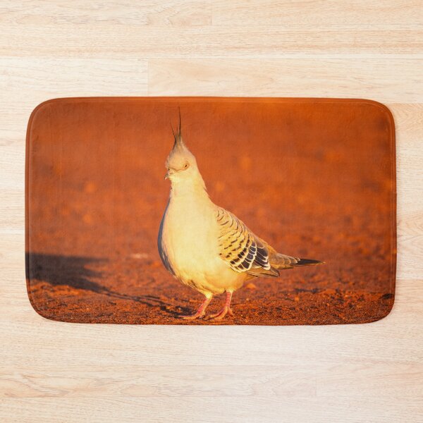Artikelvorschau, Haubentaube im roten Staub der Pilbara-Region entworfen und verkauft von Images by Chris de Blank.
