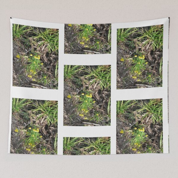 Item preview, Yellow flowers in summer photo design designed and sold by MysticRacoon6.
