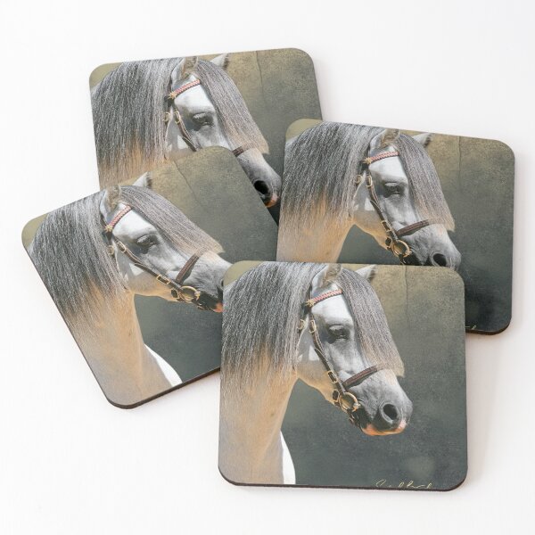Item preview, Welsh Mountain Stallion Head Study designed and sold by Rivington.