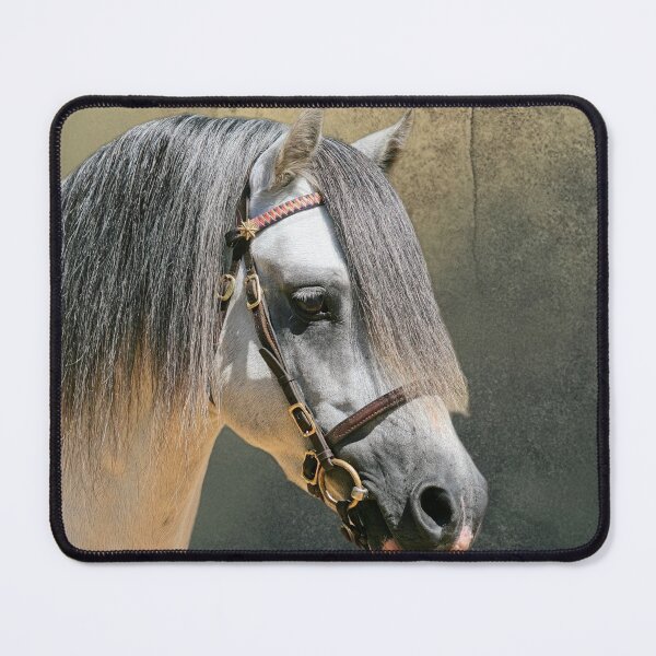 Item preview, Welsh Mountain Stallion Head Study designed and sold by Rivington.