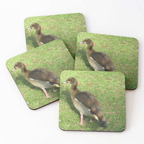 Item preview, Sun-bathing designed and sold by RosJoy.