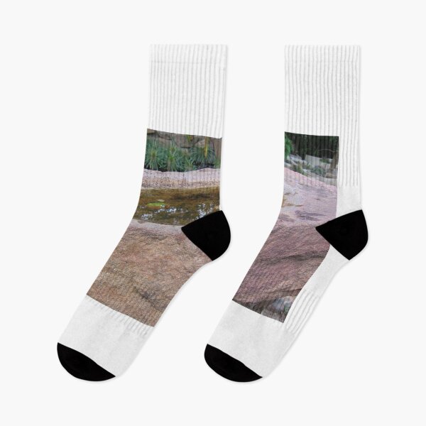 Item preview, Water reflection designed and sold by RosJoy.