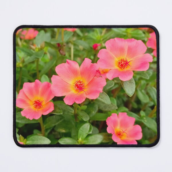 Item preview, Bright orange morning glory flowers designed and sold by montip-shop.